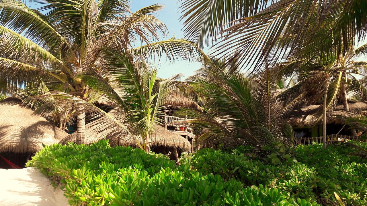 Cabanas La Luna Hotel Тулум Екстериор снимка